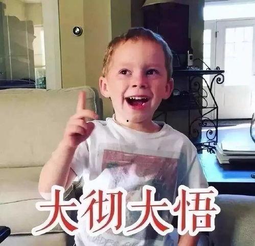 帅哥表情包网红是谁,网红帅哥表情包背后的神秘人物揭秘